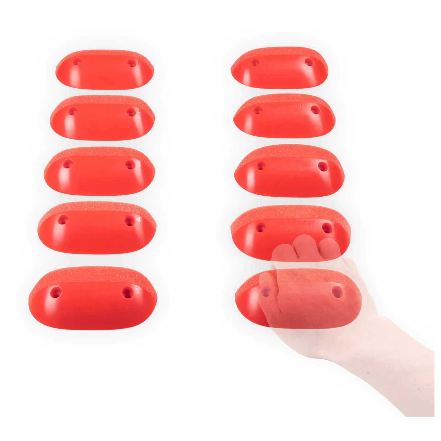 Dojo 2 - Klettergriffe – Bild 2